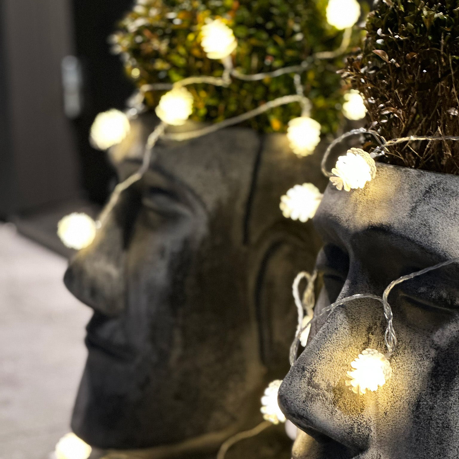 PINE string light