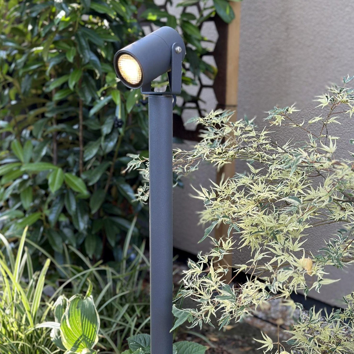 Luna65 grey lightson acer greenary