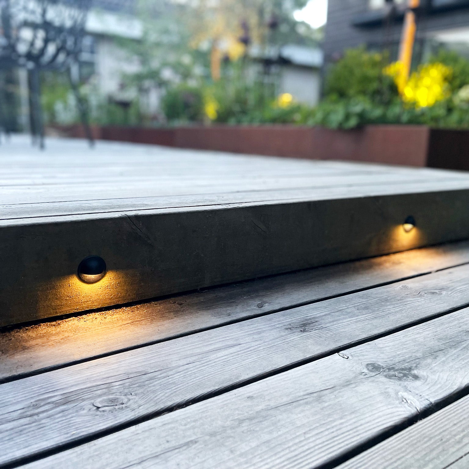 ARIES x 4 steplight (svart)