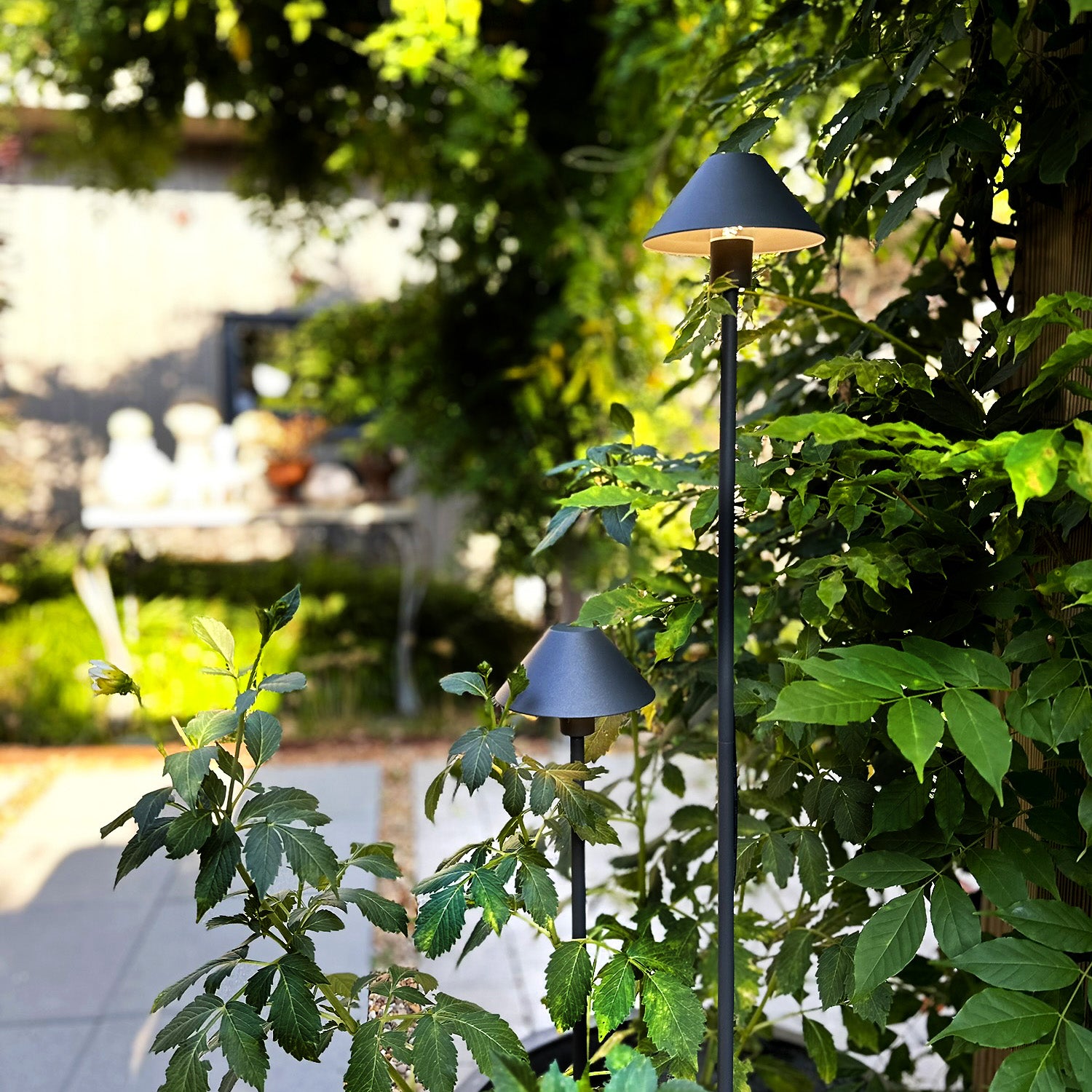Apolloflex lightson two greenary