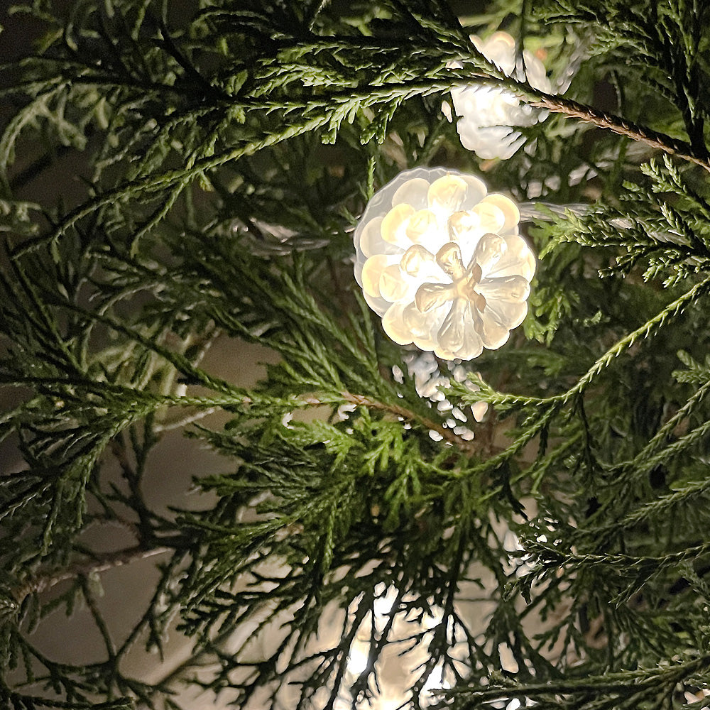 PINE string light