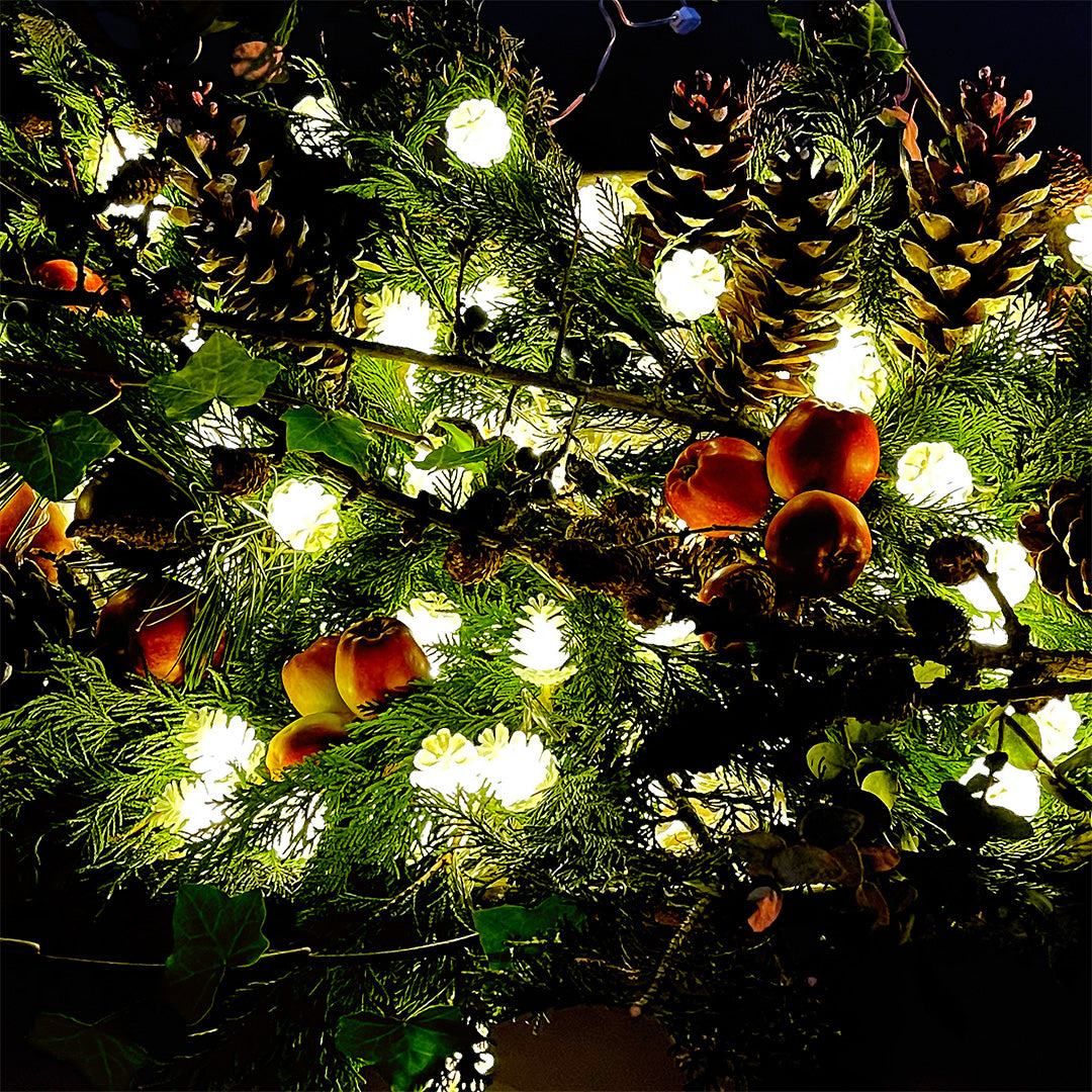 PINE string light