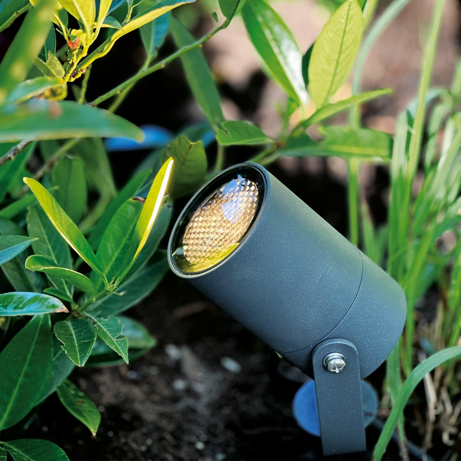 lunagrey lightson closeup greenary