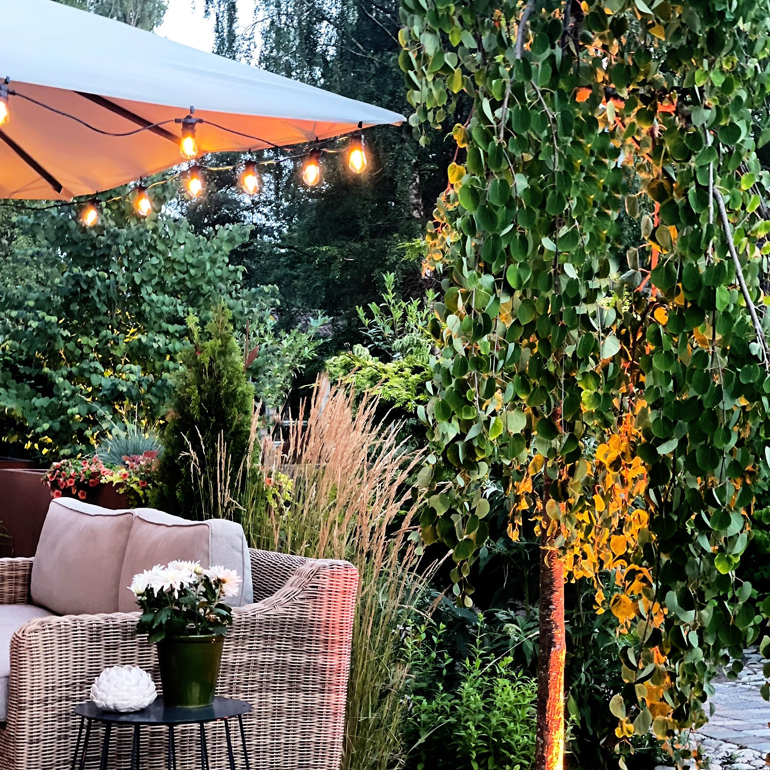 COSY festoon lights (warm white)