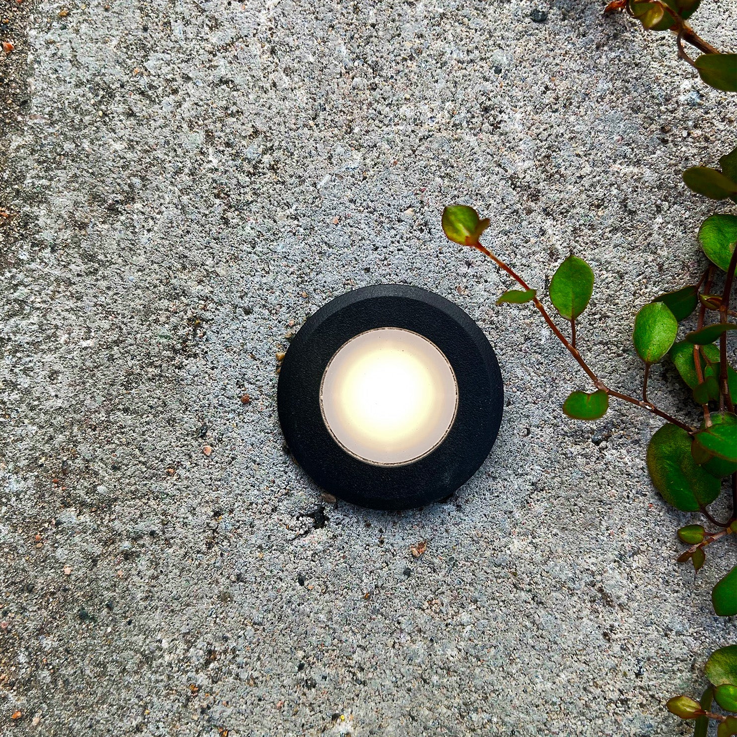 ORION x 1 decklight (svart)
