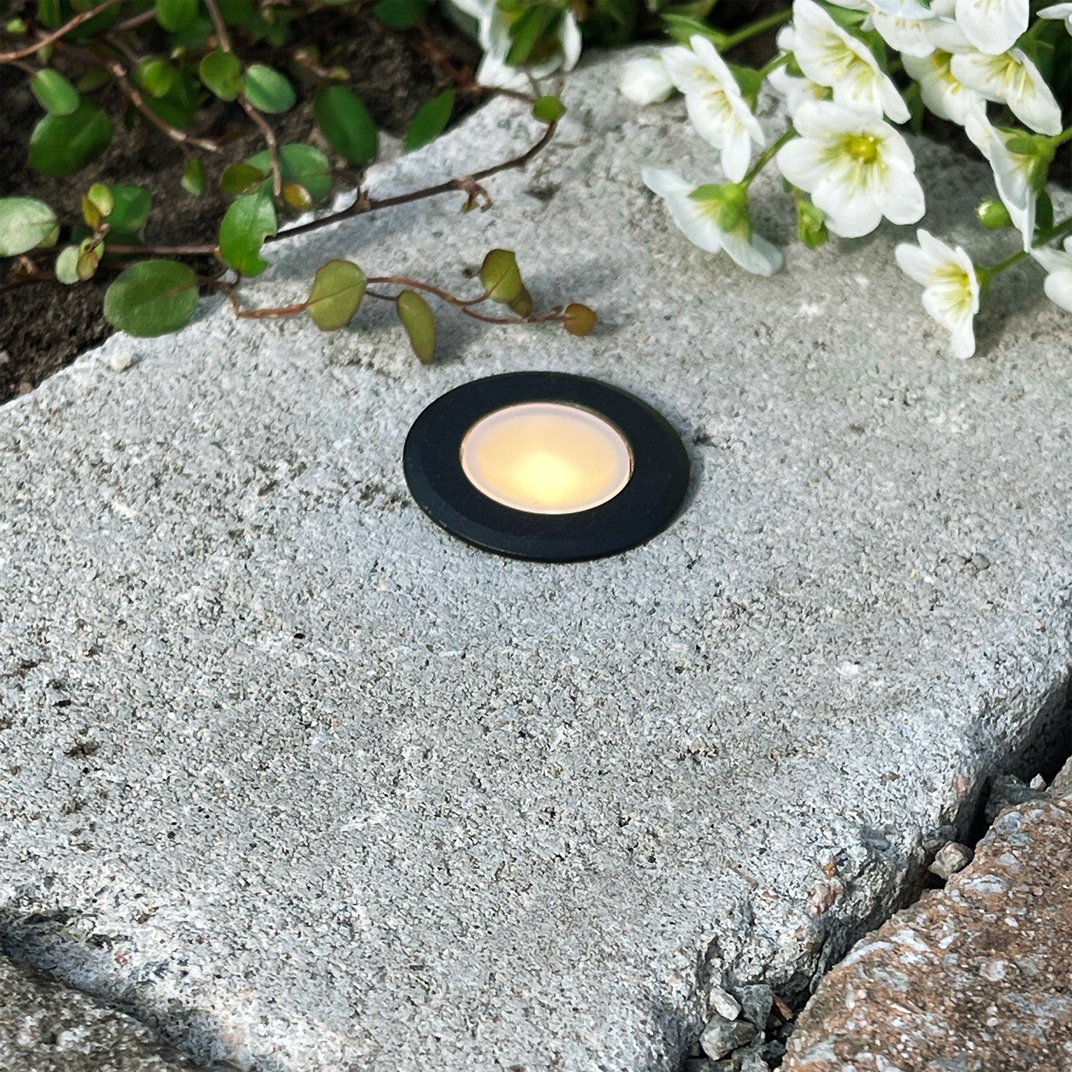 ORION x 1 decklight (svart)