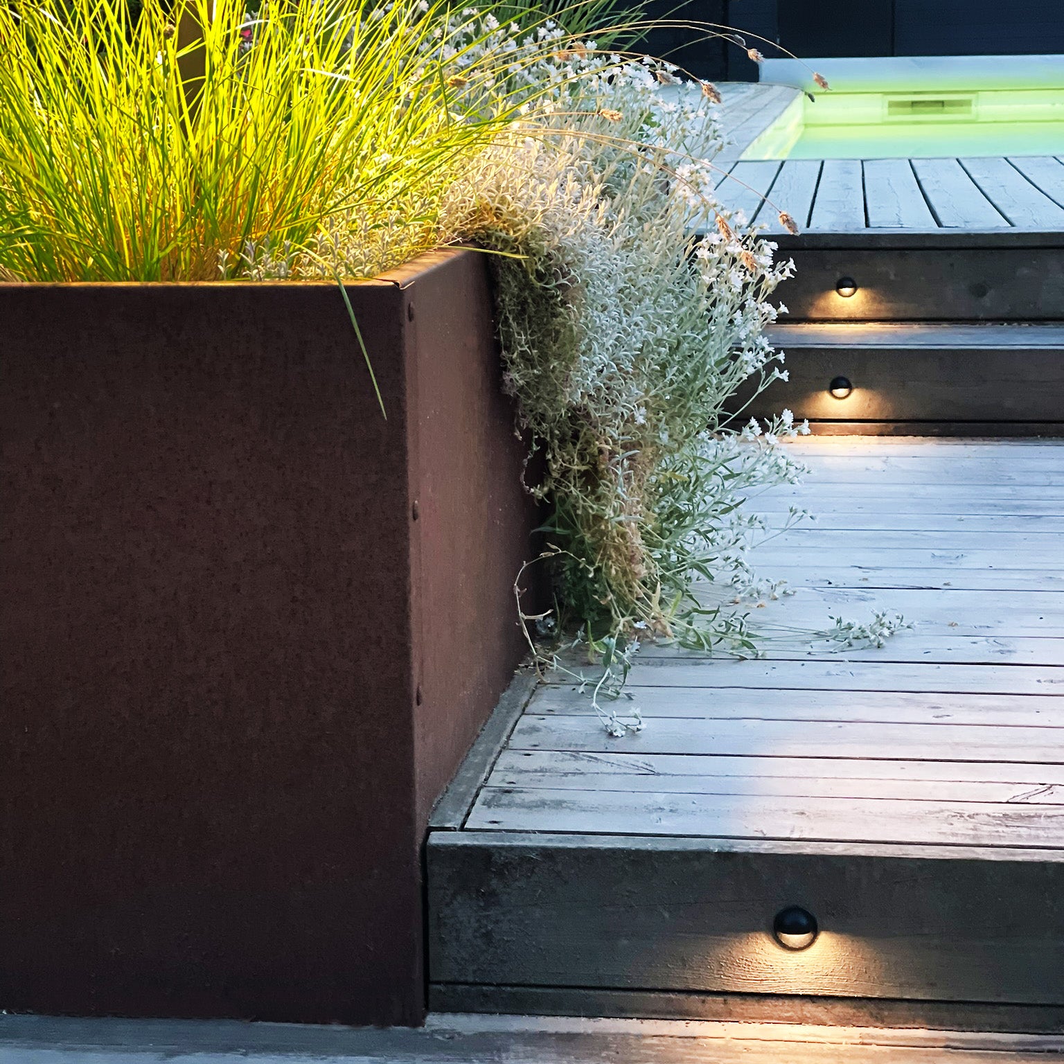 ARIES x 4 steplight (svart)
