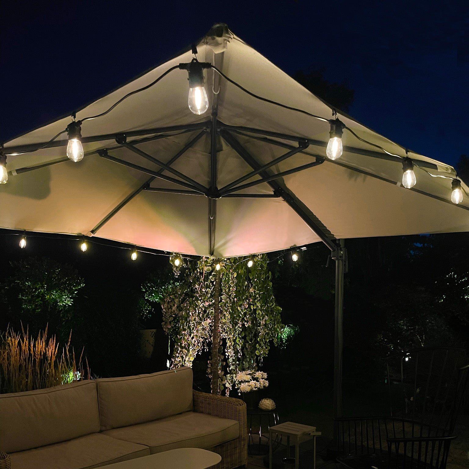 COSY festoon lights (warm white)