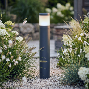 lightson gravel whitesummerflowers