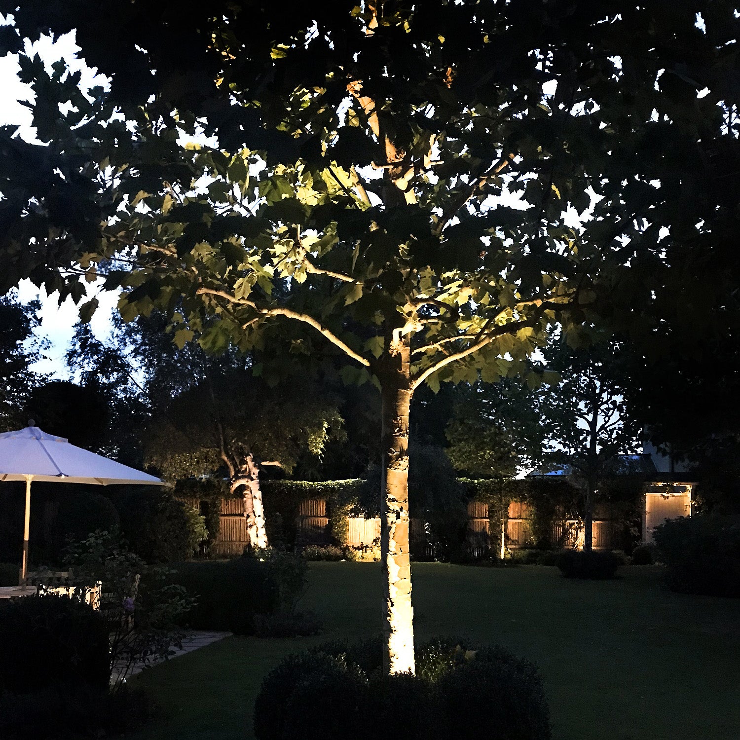 luna grey lightson garden poppel