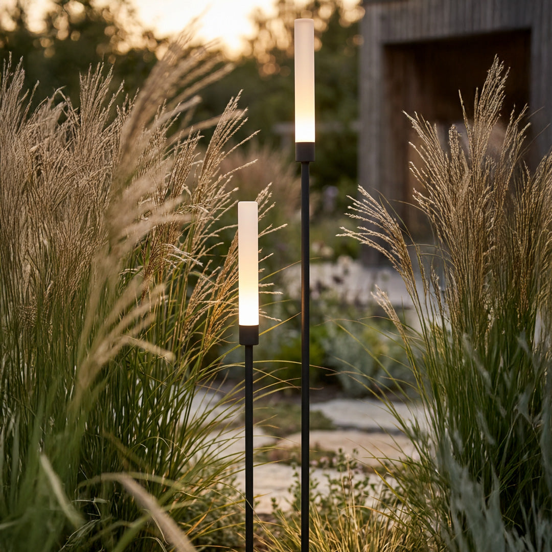 Frost lightson highgrass