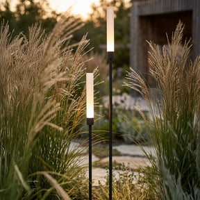 Frost lightson highgrass