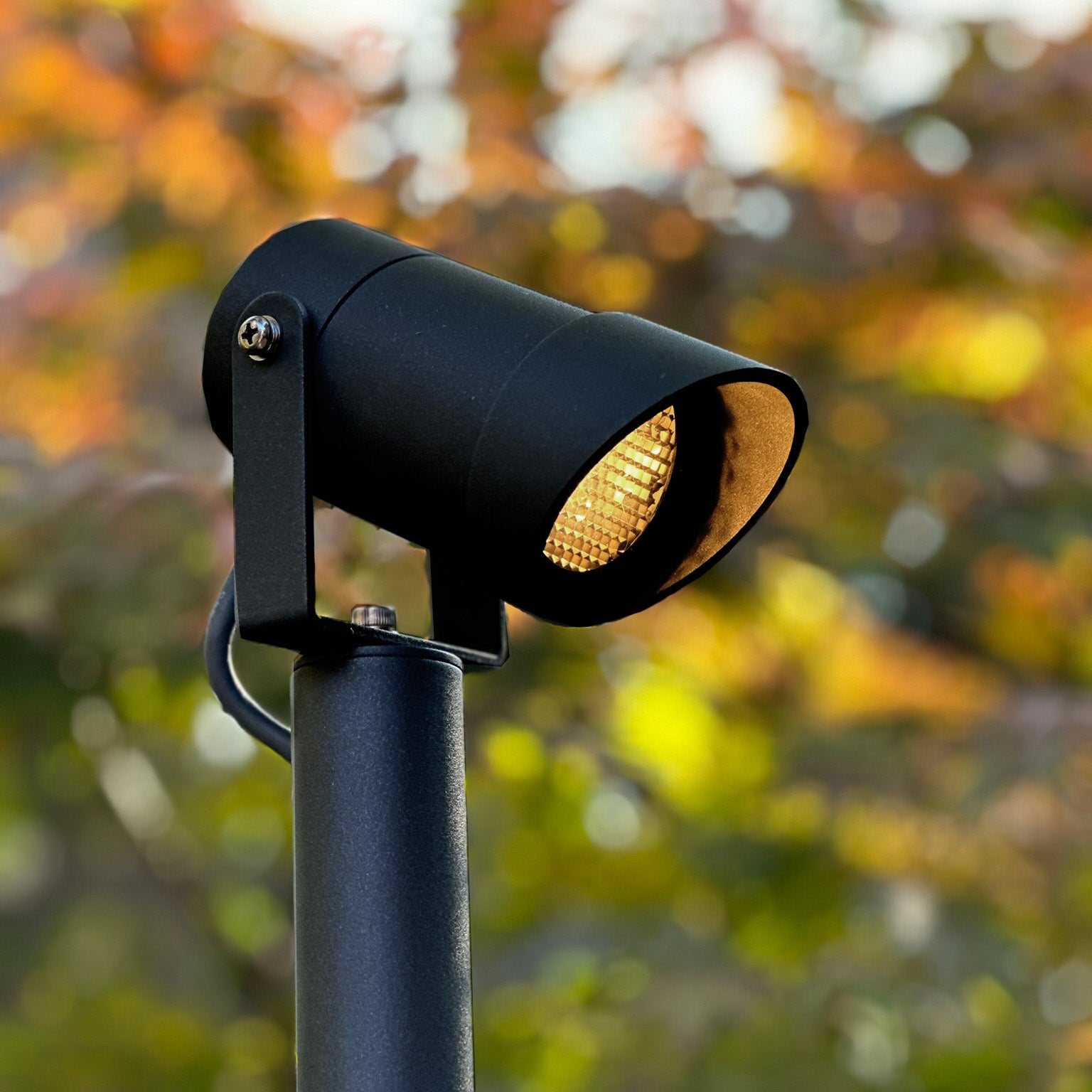 Luna65 black lightson closeup side