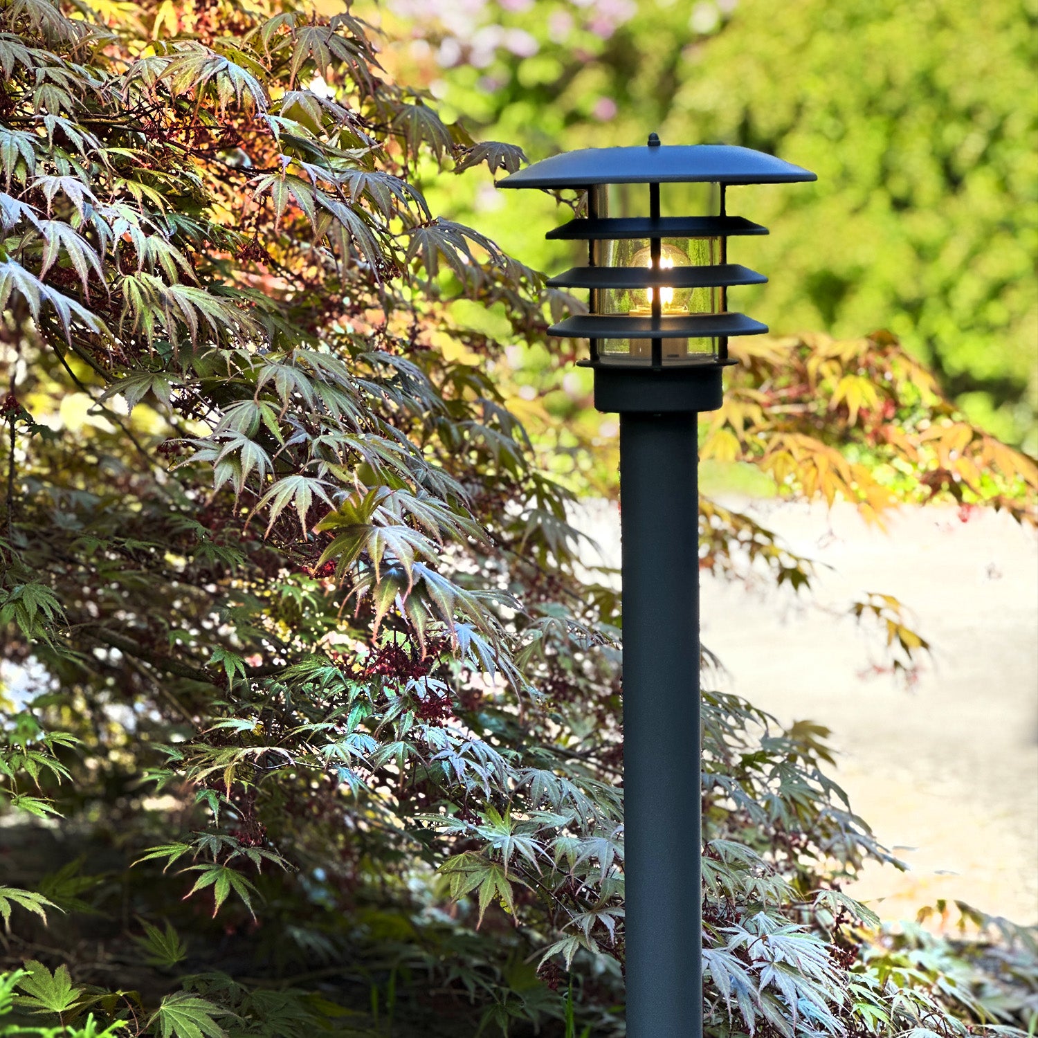 Saturnus grey lightson environ acer driveway