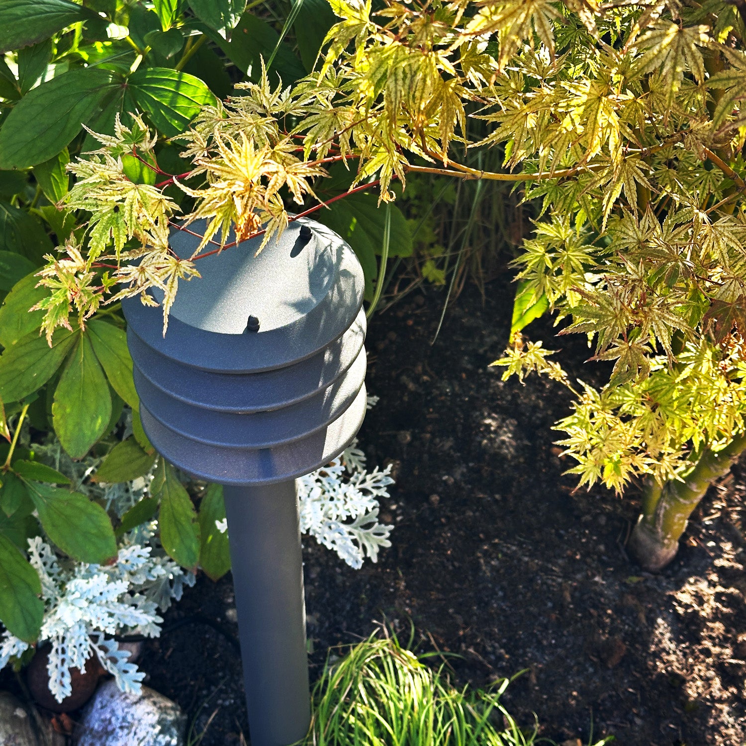Jupiter LightsOn underjapaneseacer